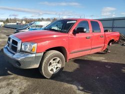 Salvage cars for sale at Pennsburg, PA auction: 2005 Dodge Dakota Quad SLT