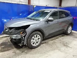 Ford Escape act salvage cars for sale: 2024 Ford Escape Active