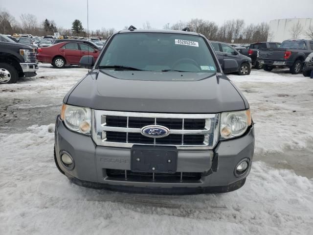 2012 Ford Escape XLT