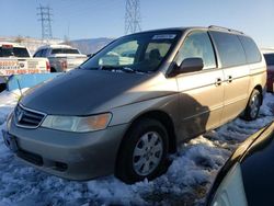 Clean Title Cars for sale at auction: 2004 Honda Odyssey EX