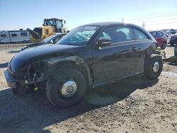 Salvage cars for sale at Eugene, OR auction: 2014 Volkswagen Beetle