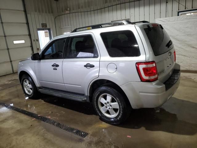 2010 Ford Escape XLT