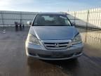 2005 Honda Odyssey EX