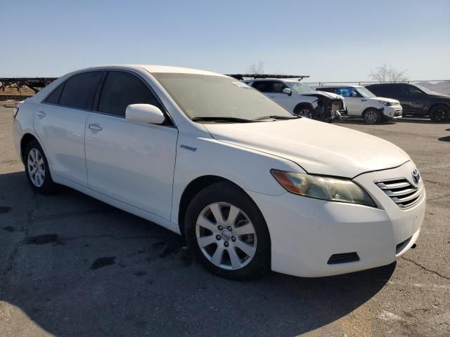 2007 Toyota Camry Hybrid