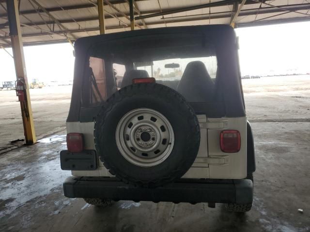 2002 Jeep Wrangler / TJ SE