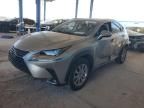 2020 Lexus NX 300H