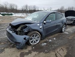 Salvage cars for sale at Marlboro, NY auction: 2023 Tesla Model Y