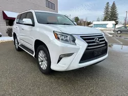 Copart GO cars for sale at auction: 2015 Lexus GX 460