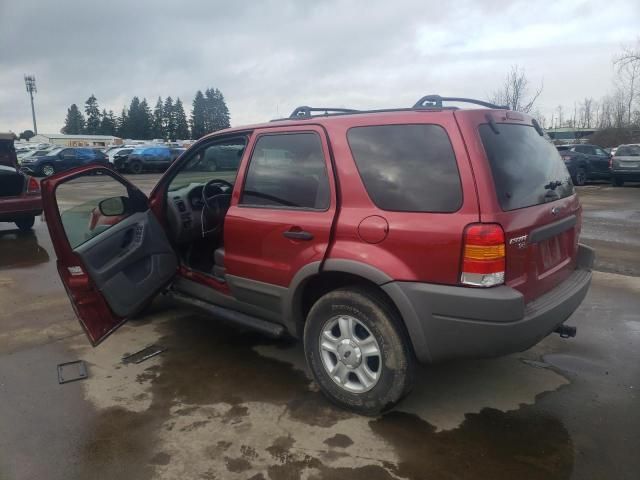 2001 Ford Escape XLT