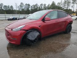 Salvage cars for sale from Copart Harleyville, SC: 2024 Tesla Model Y