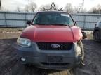 2007 Ford Escape XLT