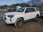 2023 Toyota 4runner 40TH Anniversary SE