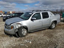 Chevrolet salvage cars for sale: 2013 Chevrolet Avalanche LT