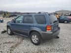 2006 Ford Escape XLT