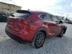 2020 Lexus NX 300