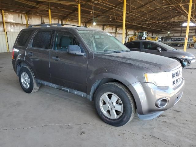 2011 Ford Escape XLS