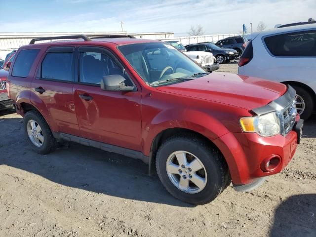 2011 Ford Escape XLS