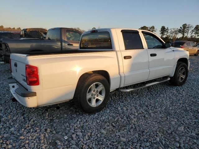 2011 Dodge Dakota SLT