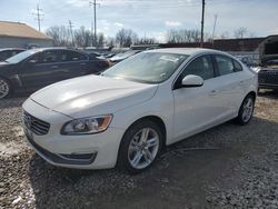 Salvage cars for sale at Columbus, OH auction: 2014 Volvo S60 T5