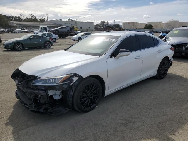 2019 Lexus ES 300H