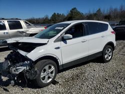 Salvage cars for sale at Memphis, TN auction: 2014 Ford Escape SE