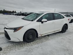 Salvage cars for sale at Elmsdale, NS auction: 2024 Toyota Corolla LE