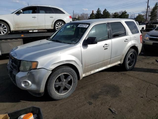 2010 Ford Escape XLT