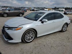 Toyota salvage cars for sale: 2019 Toyota Camry Hybrid