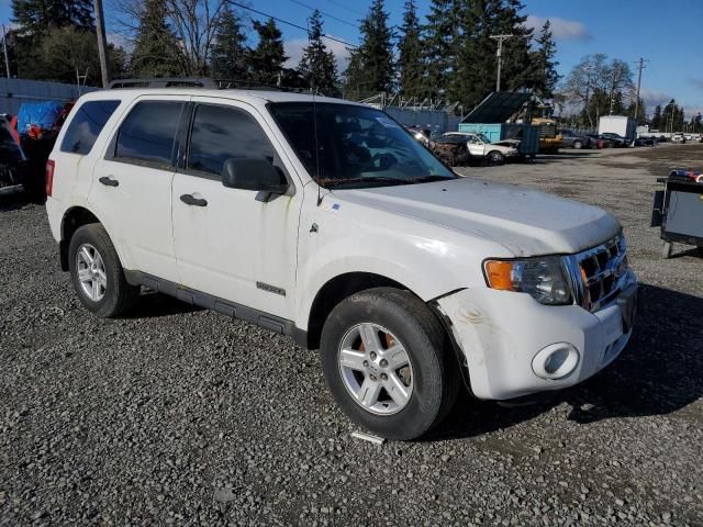 2008 Ford Escape HEV