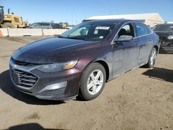 Salvage cars for sale at Brighton, CO auction: 2020 Chevrolet Malibu LS