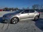 2012 KIA Optima Hybrid