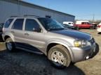 2007 Ford Escape XLT