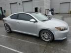 2008 Scion 2008 Toyota Scion TC