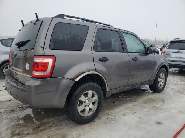 2010 Ford Escape XLT