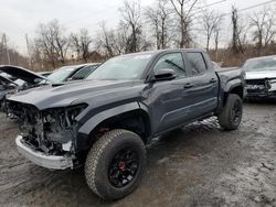 Lotes con ofertas a la venta en subasta: 2024 Toyota Tacoma Double Cab