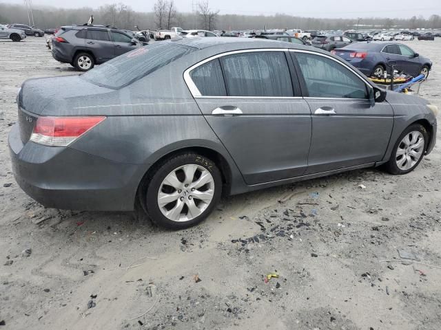 2008 Honda Accord EXL