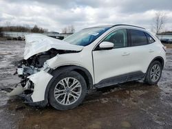 Salvage cars for sale at Columbia Station, OH auction: 2022 Ford Escape SEL