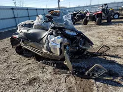 Salvage motorcycles for sale at Elgin, IL auction: 2023 Yamaha Sidewinder