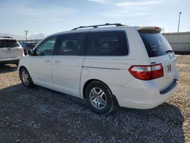 2005 Honda Odyssey EX