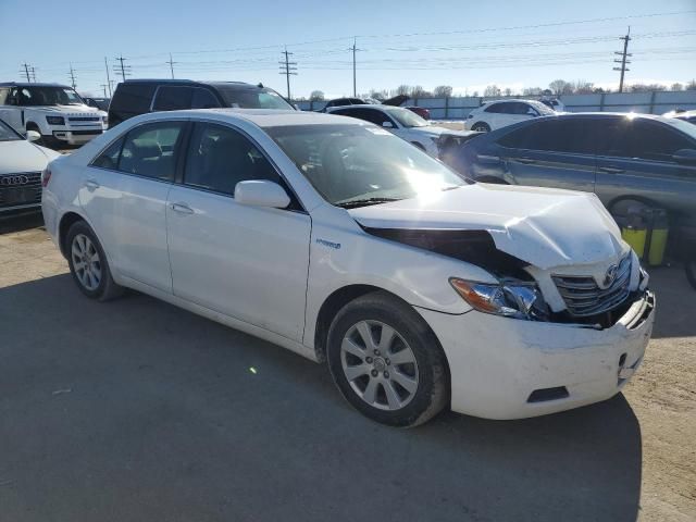 2009 Toyota Camry Hybrid