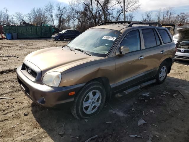 2004 Hyundai Santa FE GLS