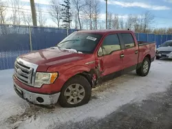 Salvage trucks for sale at Moncton, NB auction: 2009 Ford F150 Supercrew