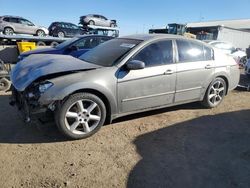 Salvage cars for sale at Brighton, CO auction: 2004 Nissan Maxima SE