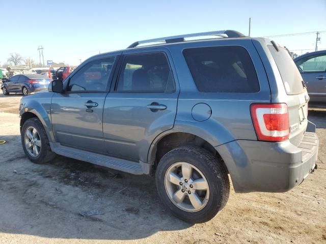 2010 Ford Escape Limited