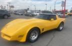 1981 Chevrolet Corvette