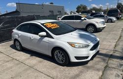 Salvage cars for sale at Apopka, FL auction: 2016 Ford Focus SE