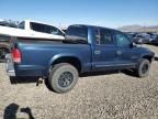 2001 Dodge Dakota Quattro