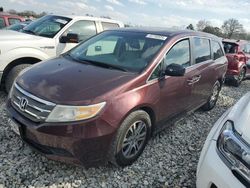 Honda Odyssey exl Vehiculos salvage en venta: 2012 Honda Odyssey EXL