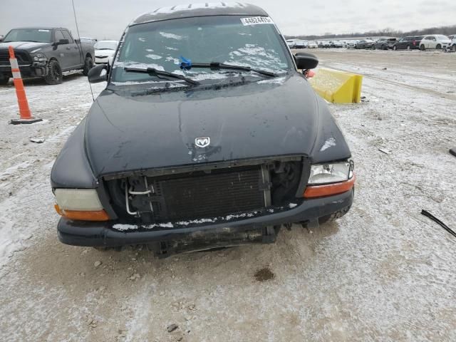 2001 Dodge Dakota Quattro