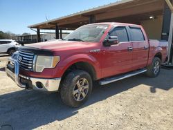 Salvage cars for sale at Tanner, AL auction: 2011 Ford F150 Supercrew